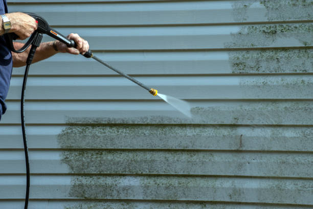 Best Pressure Washing Estimates  in Oblong, IL