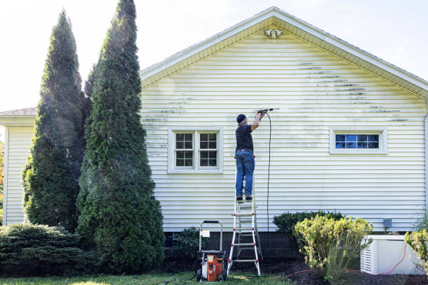 Best Residential Pressure Washing Services  in Oblong, IL