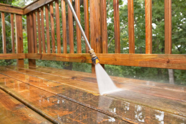 Best Roof Pressure Washing  in Oblong, IL